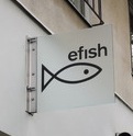 efish